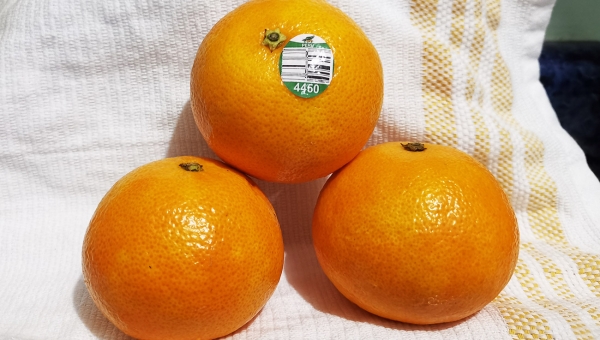 Mandarina Importada Malla, Walmart