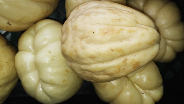 Chayote Blanco / Verduleria Xioma
