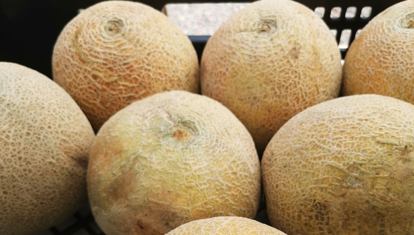 Melón / Verduleria Xioma