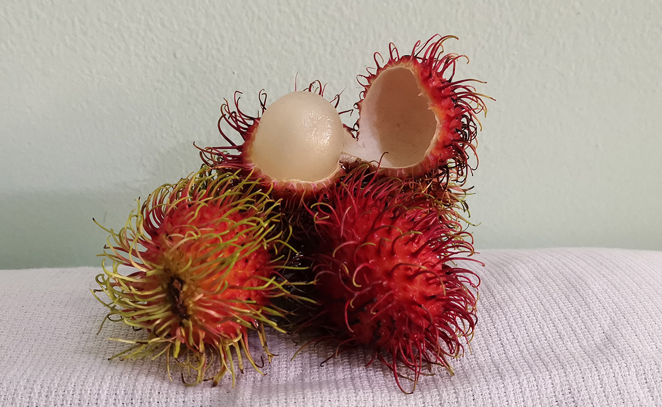 Mamon Chino 585g, Hortifruti, Supermercado Walmart, San Francisco, Heredia 23072023