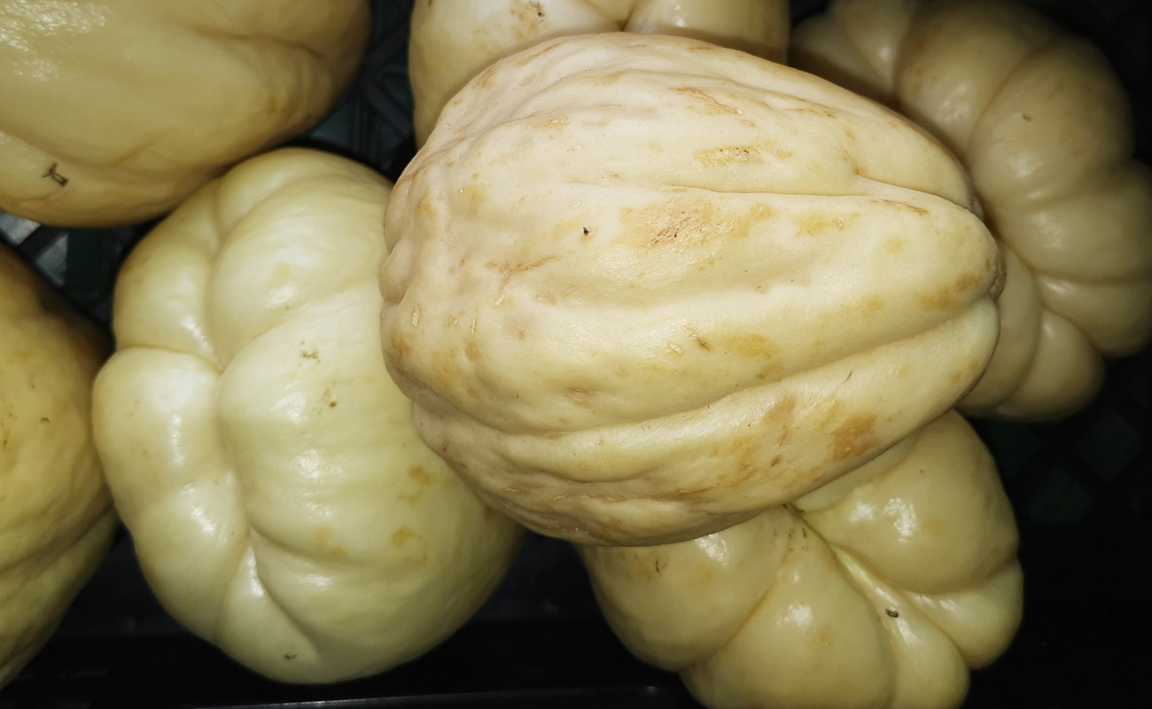 Chayote Blanco / Verduleria Xioma, San Isidro, Heredia-04082023