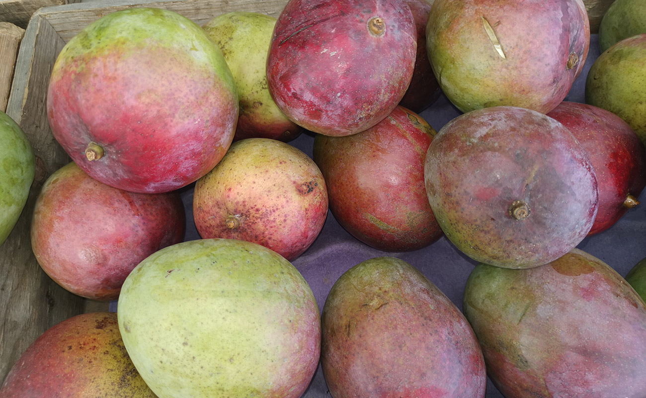 Manga Verde / Verduleria Xioma, San Isidro, Heredia-04082023