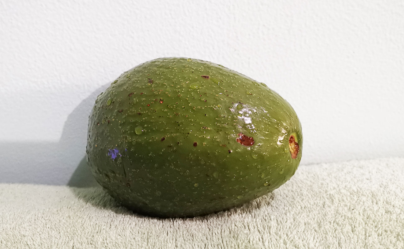 Aguacate Criollo 670g / Max X Menos, Paseo de las Flores, Heredia-16082023