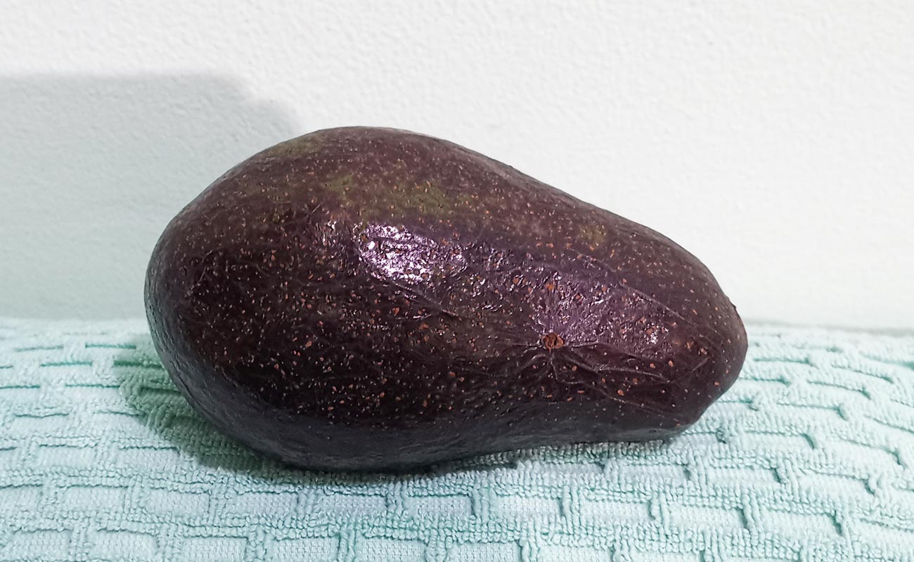 aguacate-importado-venta-ambulante-ruta-32-canton-santo-domingo-heredia-14052024