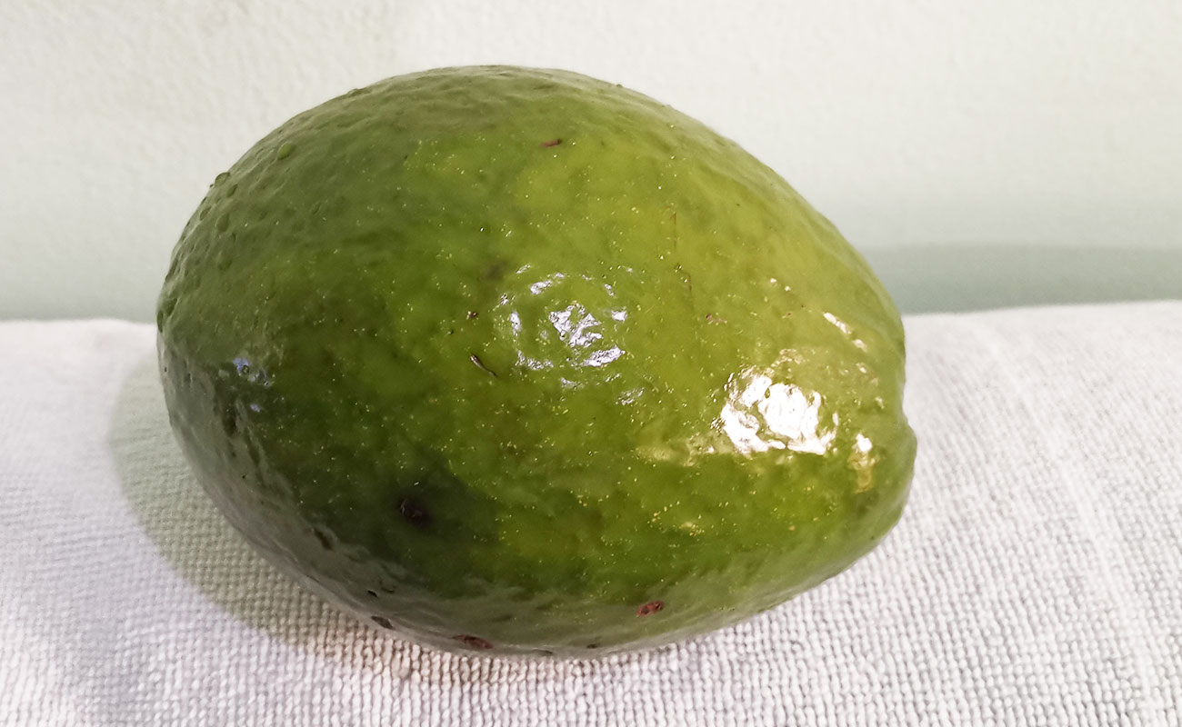 aguacate-nacional-1120g-supermercado-el-futuro-distrito-aurora-canton-heredia-heredia-06012024