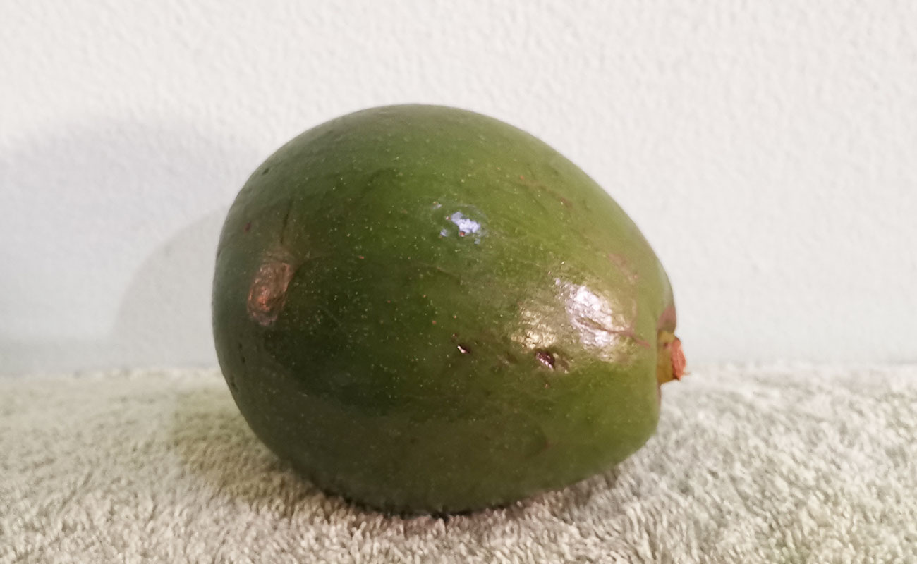 Aguacate Nacional 760g / La Gran Bodega de Frutas y Verduras, Flores, Heredia-16082023