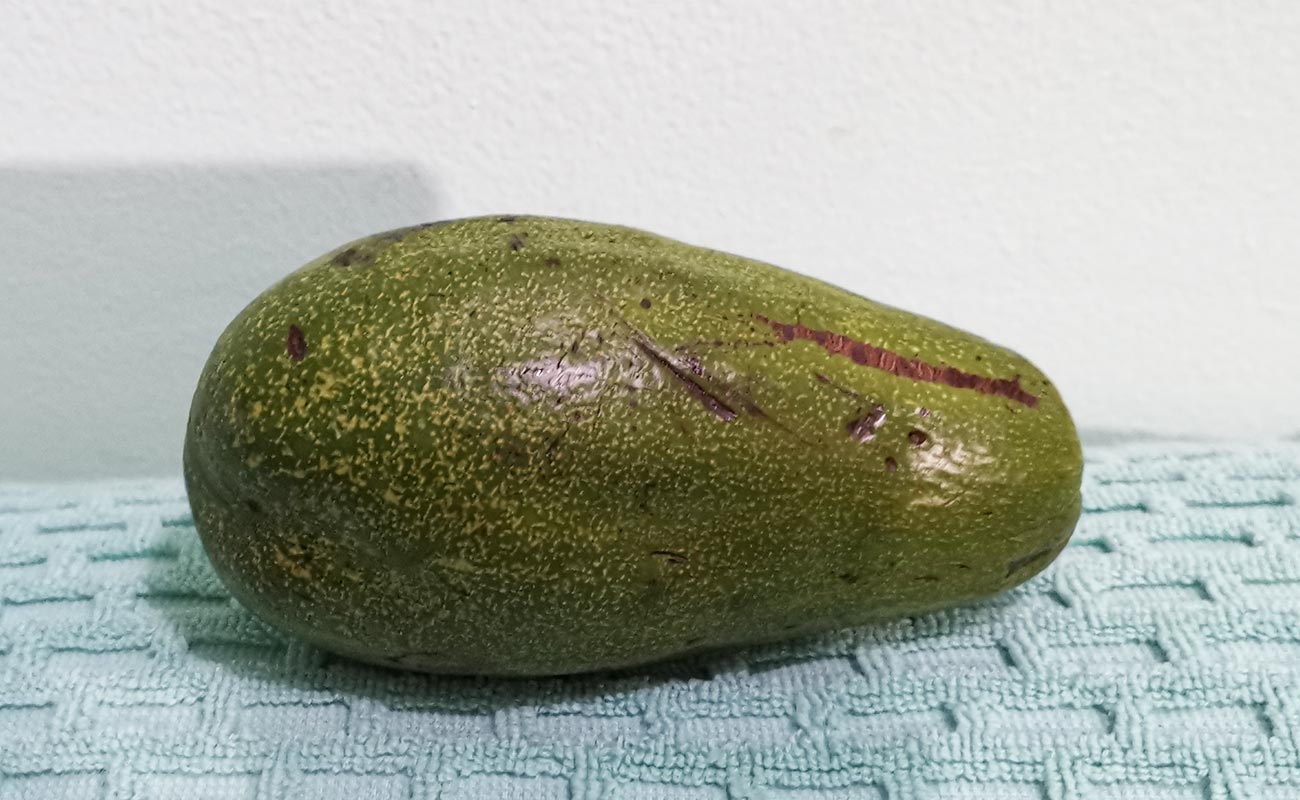 aguacate-nacional-por-unidad-verduleria-xioma-san-isidro-heredia-21052024