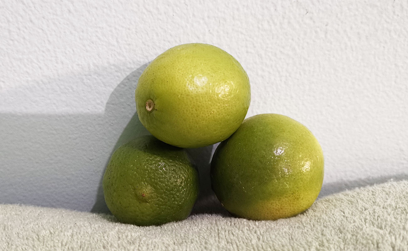 Limón Mesino / La Gran Bodega de Frutas y Verduras, Flores, Heredia-16082023