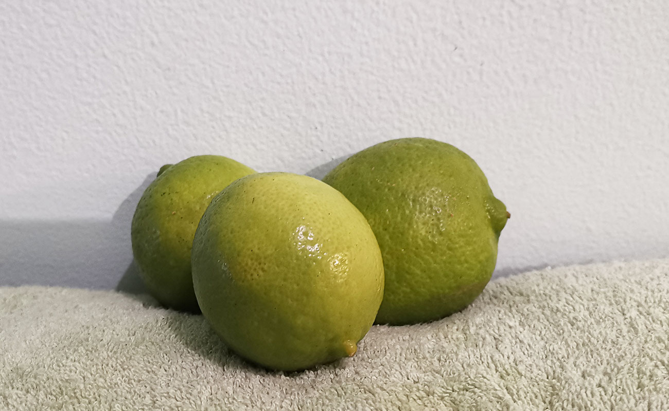 Limón Mesino / Tramo Mercado Municipal, Heredia-24082023