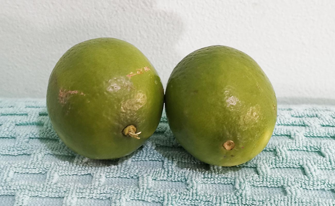 limon-mesino-por-unidad-la-gran-bodega-frutas-y-verduras-distrito-san-francisco-canton-heredia-heredia-15052024