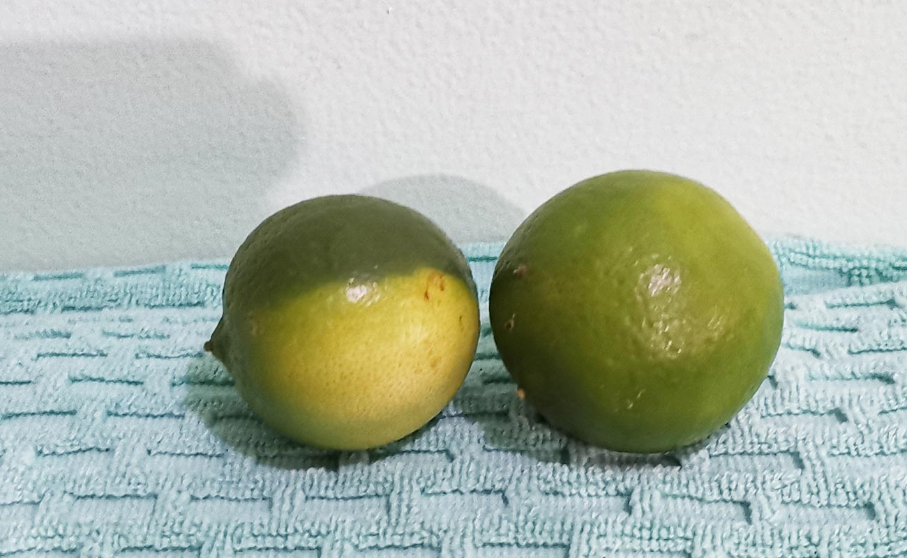 limon-mesino-por-unidad-la-gran-bodega-frutas-y-verduras-distrito-san-francisco-canton-heredia-heredia-19062024