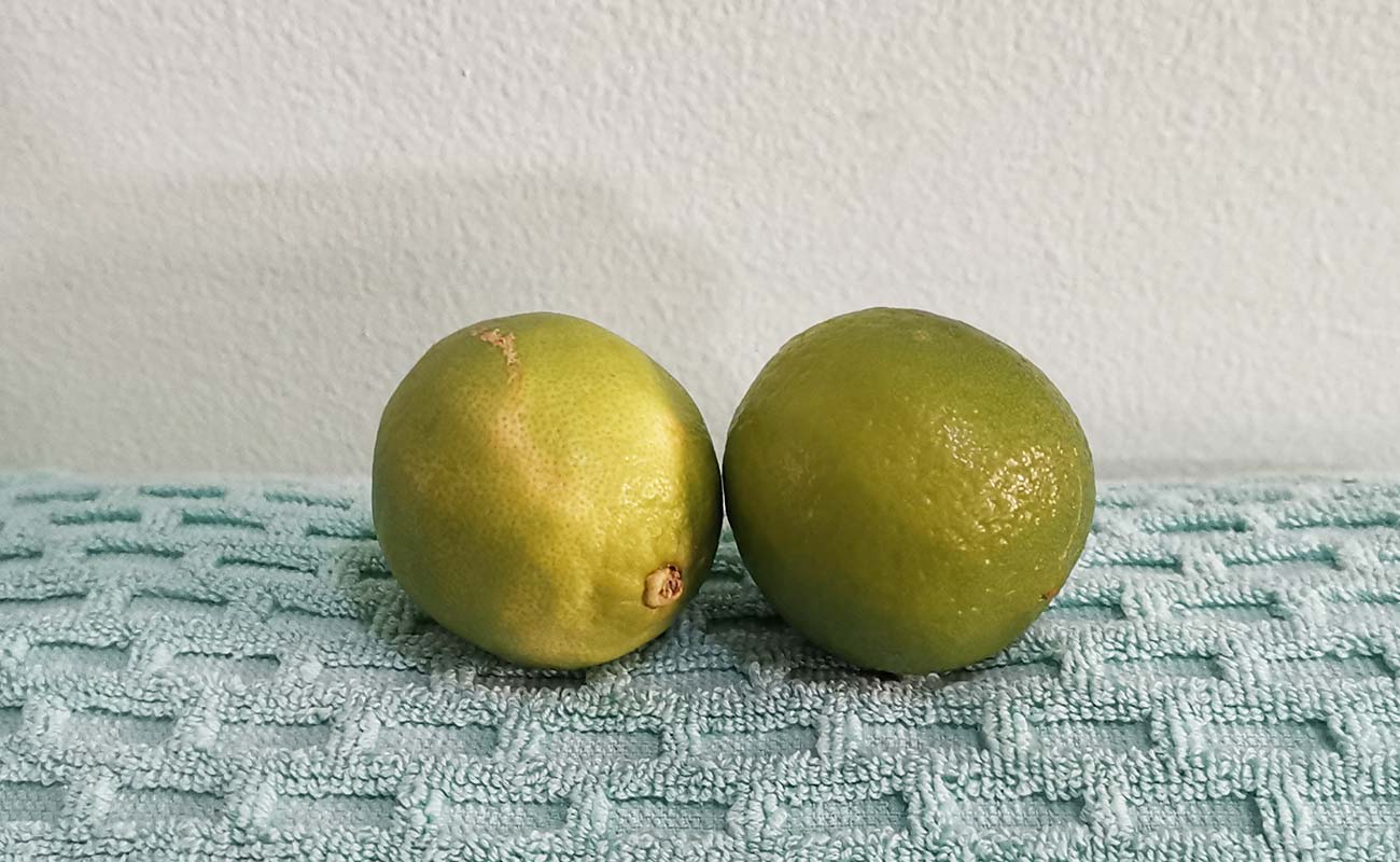 limon-mesino-por-unidad-la-gran-bodega-frutas-y-verduras-distrito-san-francisco-canton-heredia-heredia-27042024