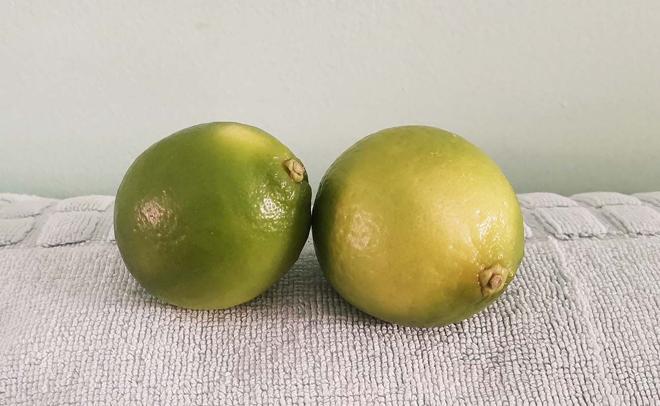 limon-mesino-por-unidad-verduleria-flores-distrito-barrantes-canton-flores-heredia-heredia-17032024