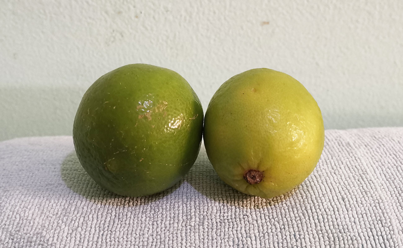 limon-mesino-por-unidad-verduras-la-gran-bodega-distrito-san-francisco-canton-heredia-heredia-16012024