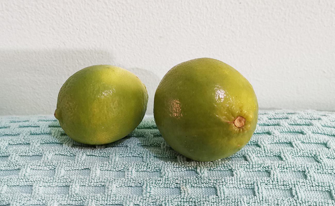 limon-mesino-super-san-agustin-distrito-san-francisco-canton-heredia-heredia-01062024