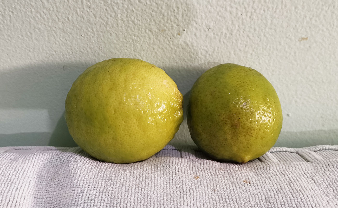 limon-mesino-unidad-frutas-verduras-la-gran-bodega-flores-heredia-28102023