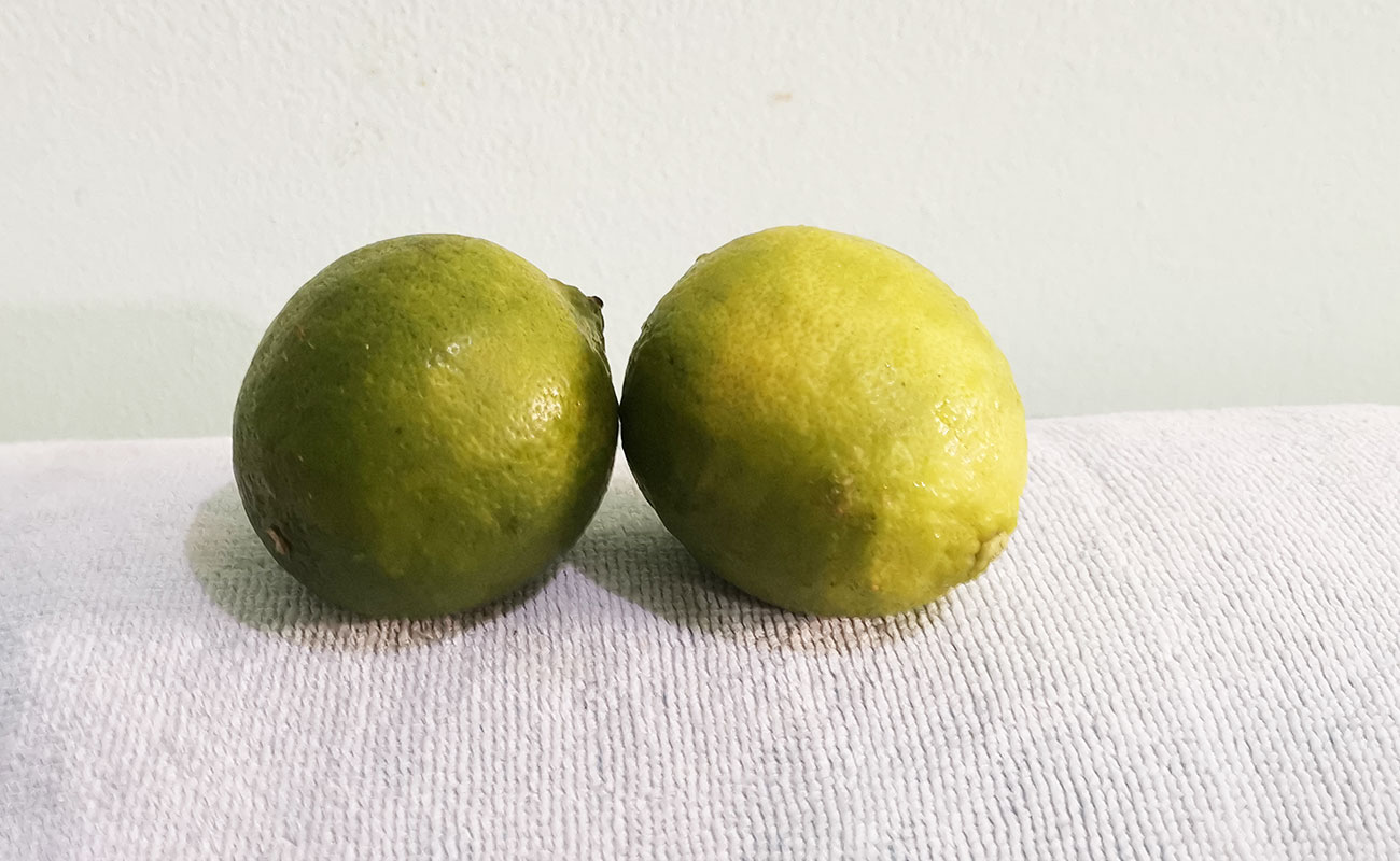 limon-mesino-x-unidad-frutas-verduras-la-gran-bodega-distrito-san-francisco-canton-heredia-heredia-14122023