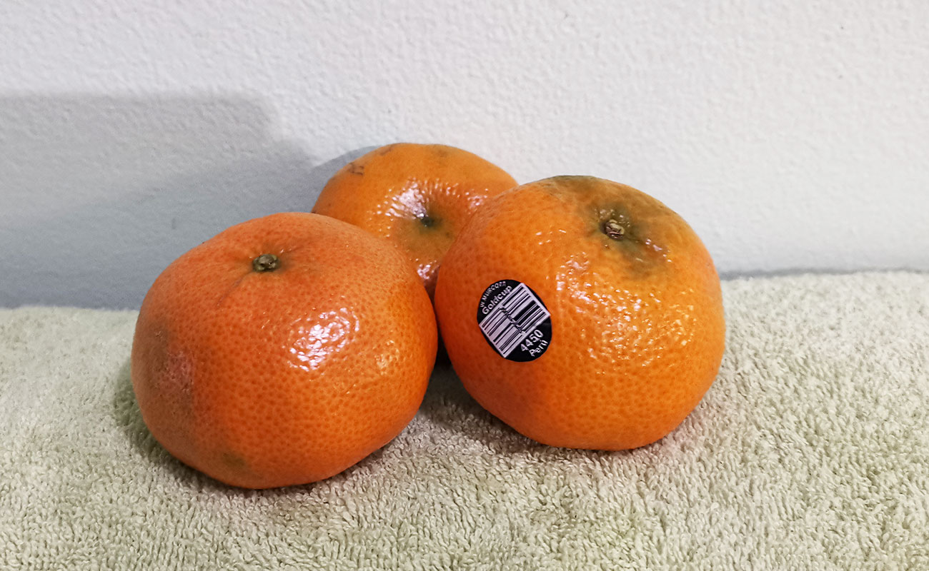 Mandarina Importada / Tramo Mercado Municipal, Heredia-24082023