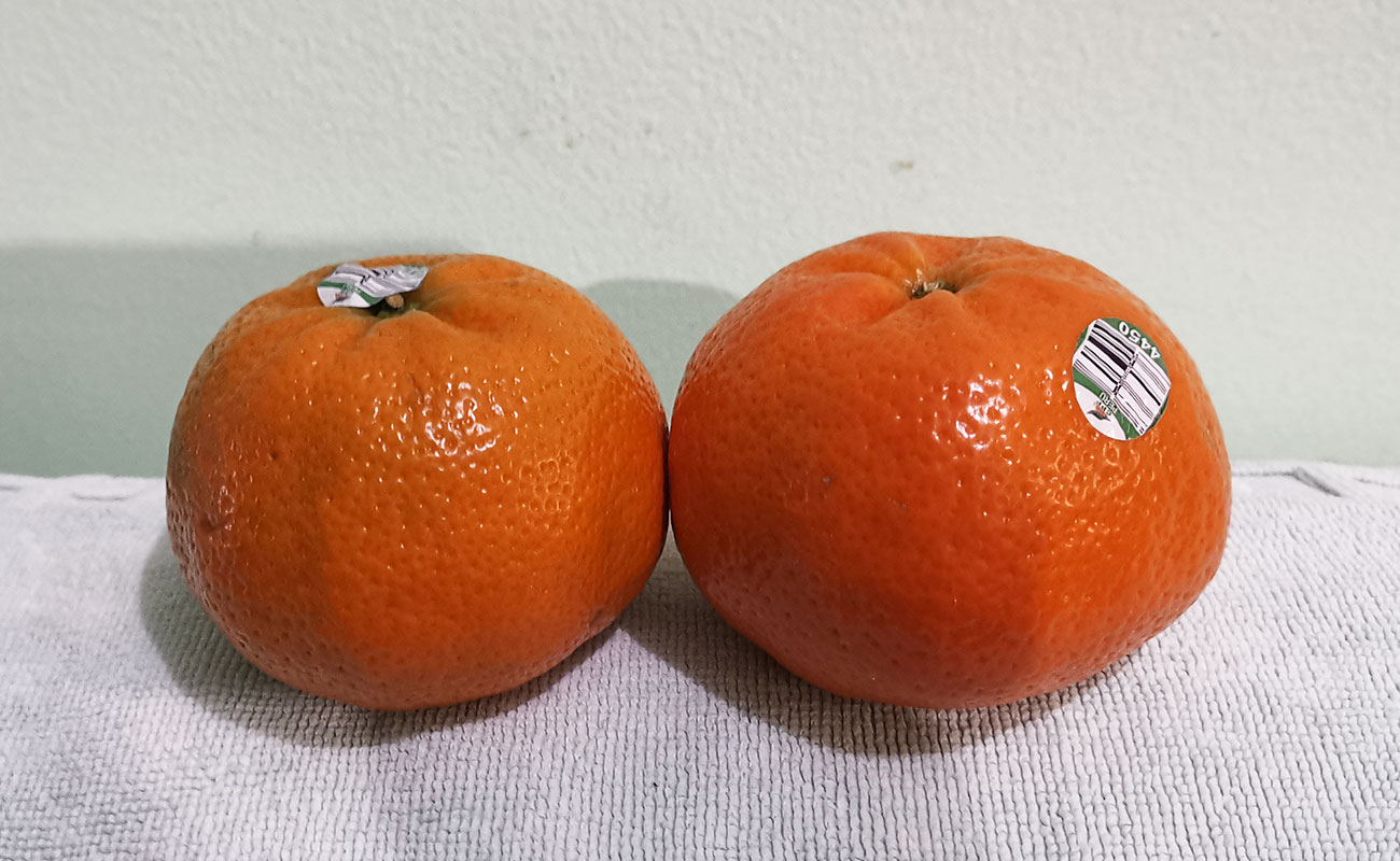 mandarina-importada-trutas-y-verduras-san-juan-distrito-barrantes-san-lorenzo-canton-de-flores-heredia-09112023