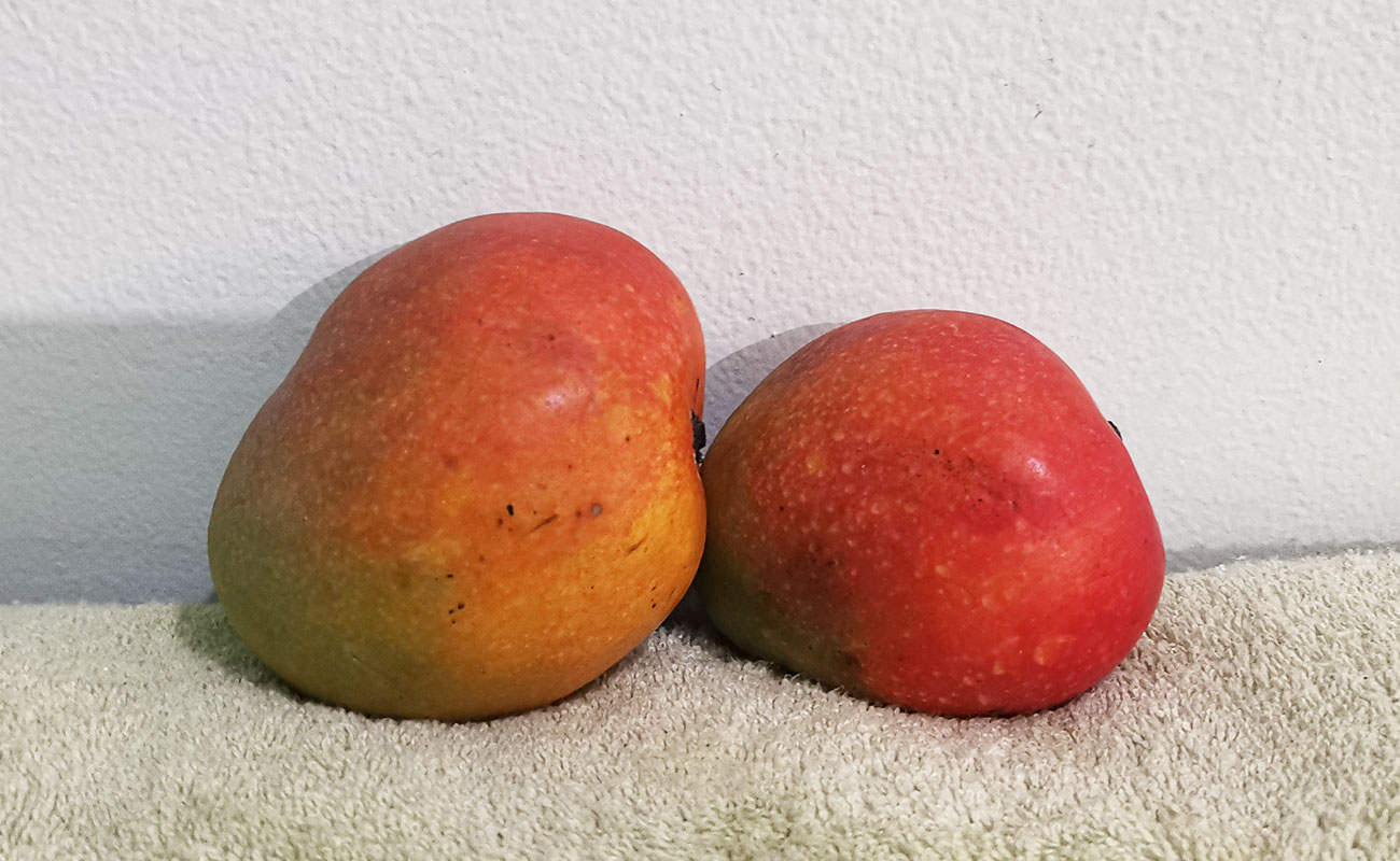 Manga Mora / Tramo Mercado Municipal, Heredia-24082023