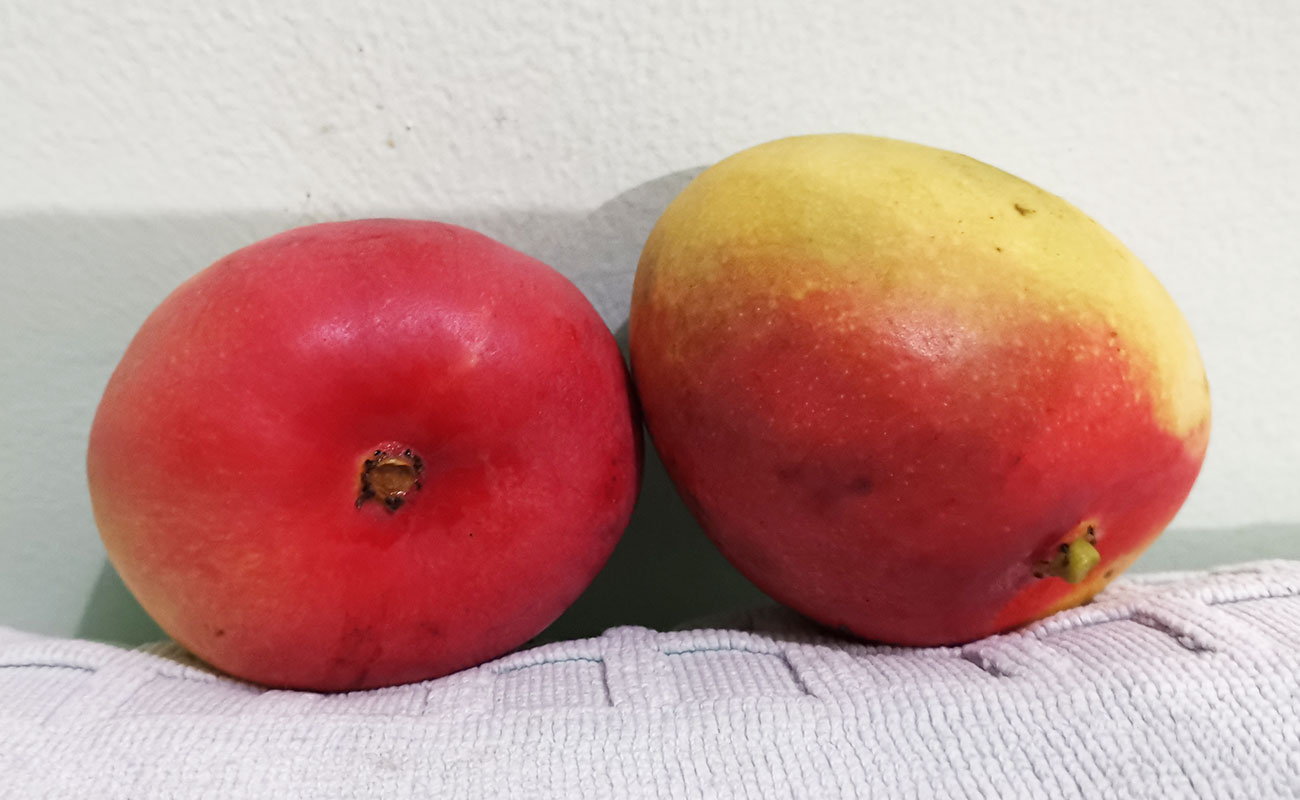 manga-mora-madura-1000g-mercado-central-distrito-los-angeles-canton-heredia-heredia-16112023