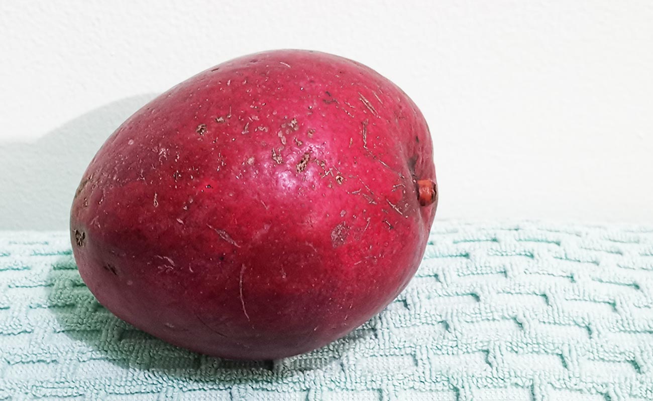 manga-nacional-1000g-fruteria-kristal-ruta-32-el-cruce-distrito-guapiles-canton-pococi-provincia-limon-30062024