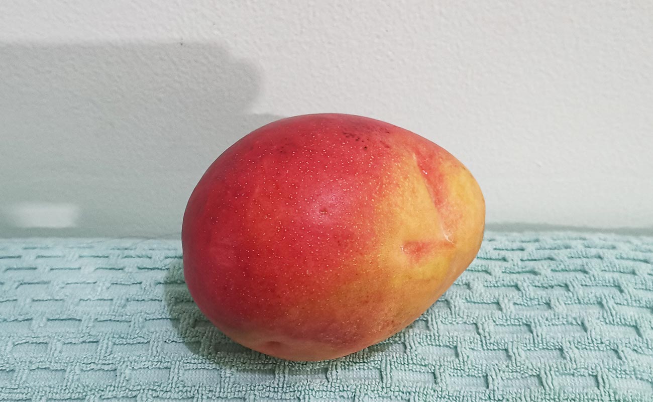 manga-nacional-1000g-tramo-mercado-municipal-heredia-heredia-02072024