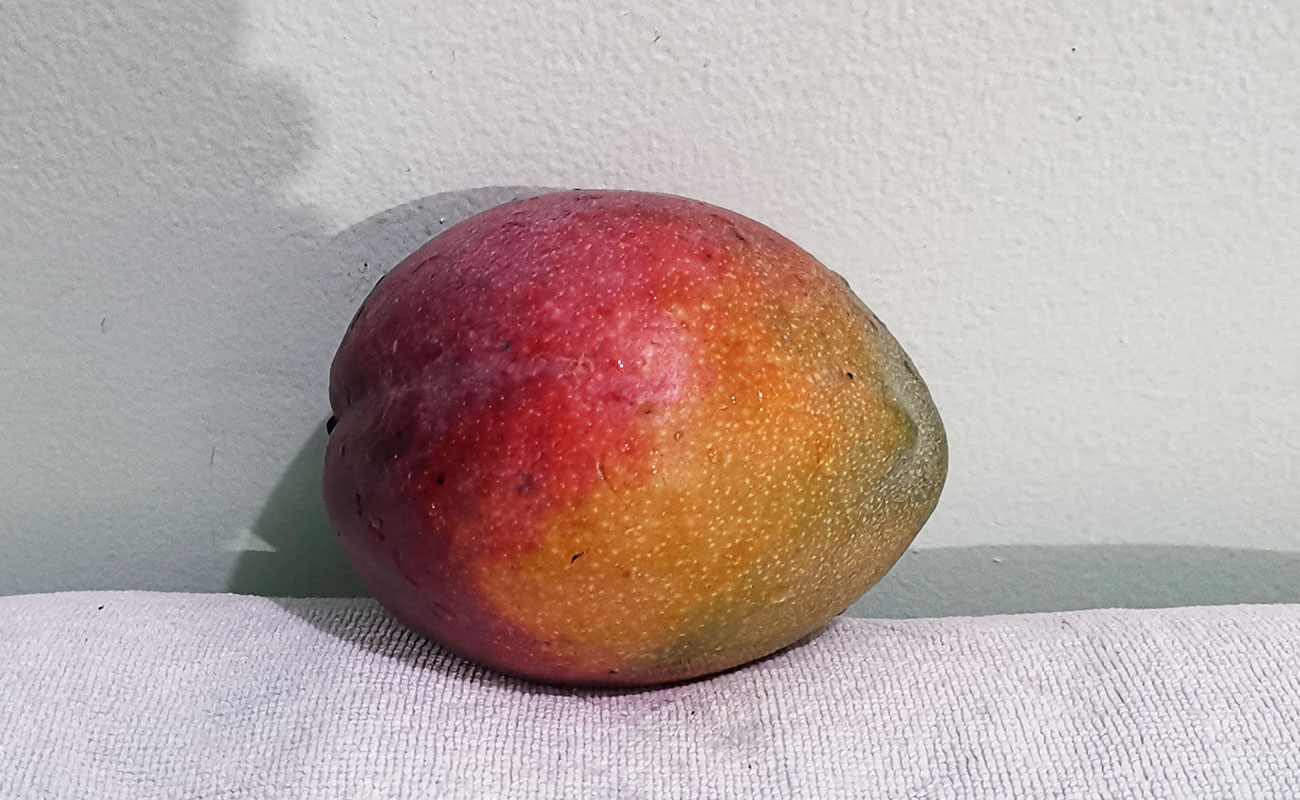 manga-nacional-1015g-verdulero-quincho-san-joaquin-distrito-san-joaquin-canton-flores-heredia-10012024