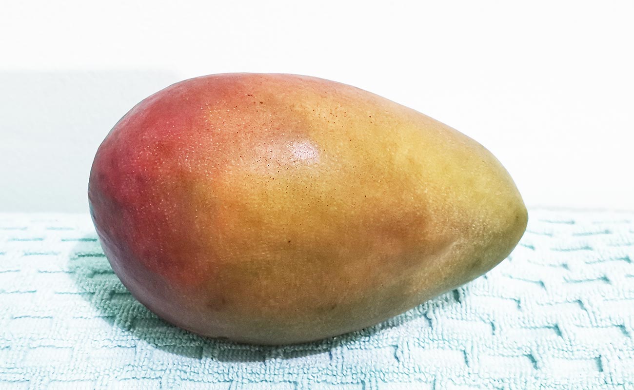 manga-nacional-1200g-mas-x-menos-san-joaquin-distrito-san-francisco-canton-heredia-heredia-28062024