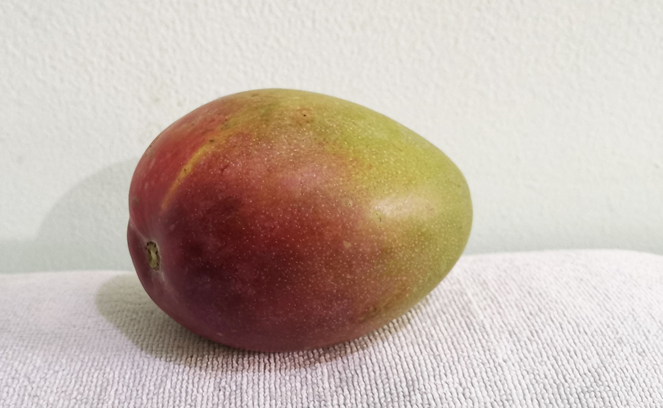 manga-nacional-420g-verduras-la-gran-bodega-distrito-san-francisco-canton-heredia-heredia-12122023