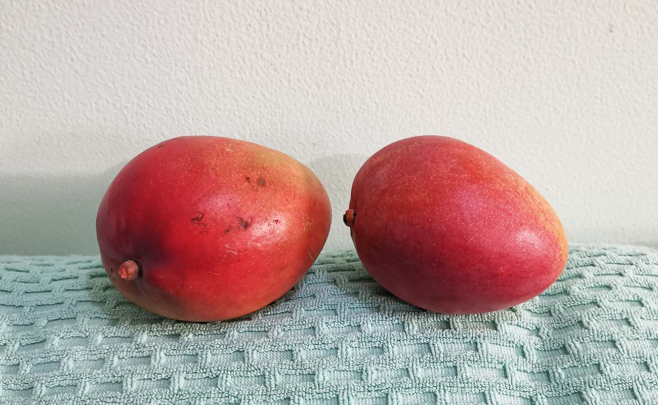 manga-nacional-970-la-gran-bodega-frutas-y-verduras-distrito-san-francisco-canton-heredia-heredia-27042024