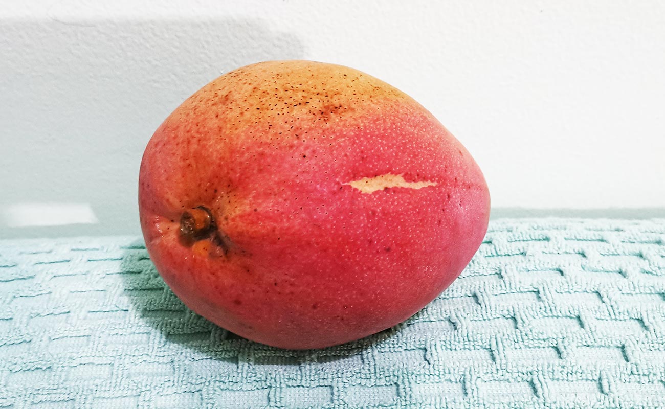 manga-nacional-mercado-municipal-heredia-24062024