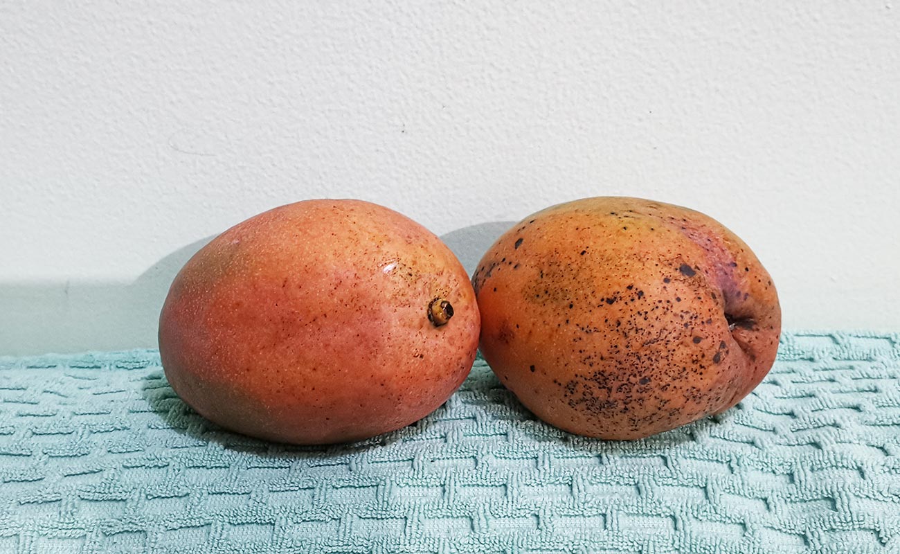 manga-nacional-verduleria-xioma-distrito-san-jose-san-josecito-canton-san-isidro-heredia-16062024