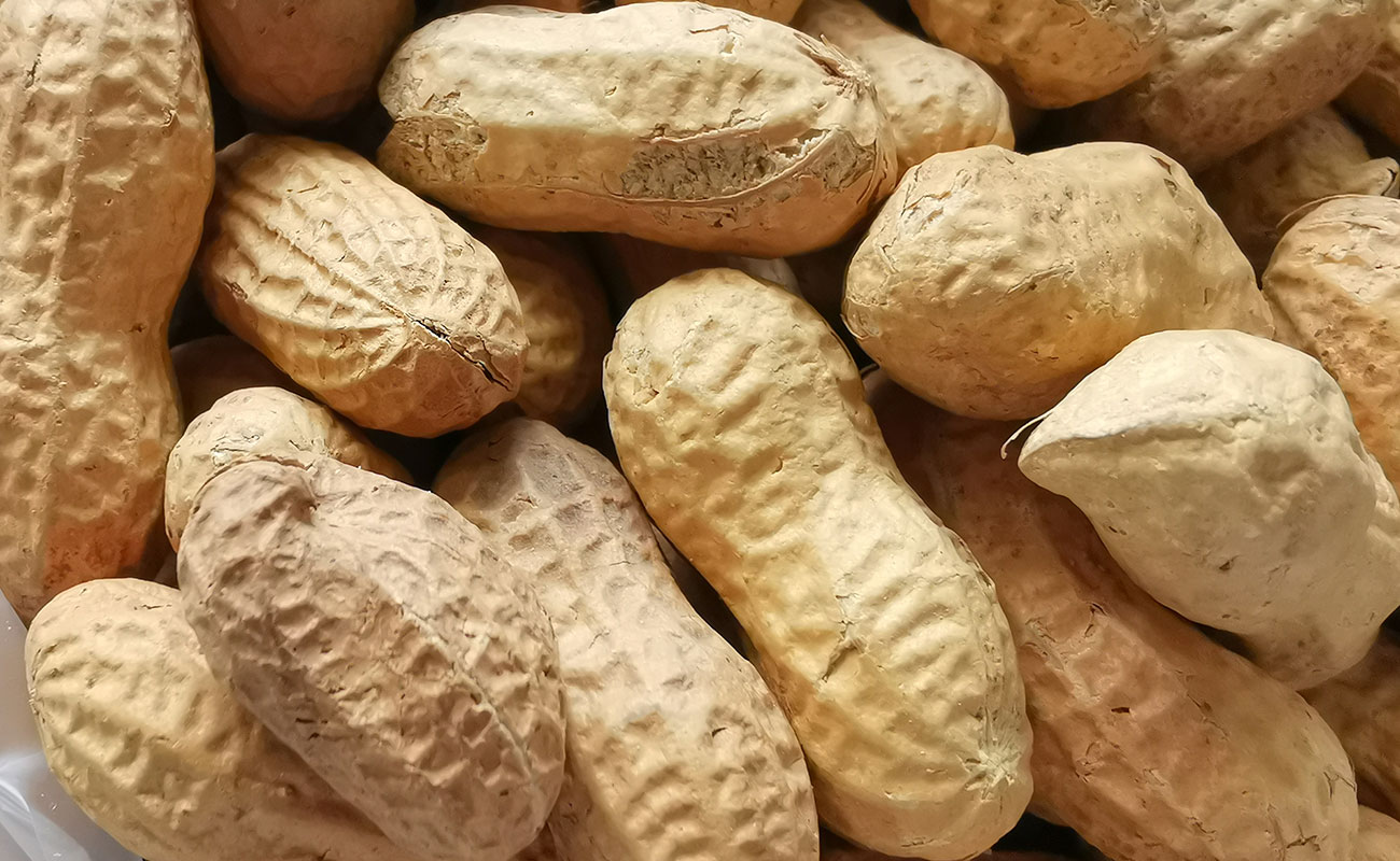 mani-tostado-1000g-cafe-vigoroso-heredia-centro-23102023