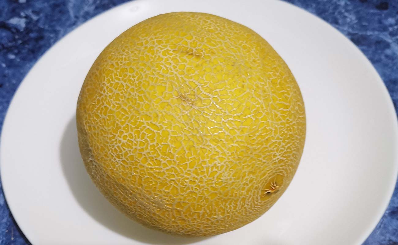 melon-nacional-1000g-fruteria-kristal-ruta-32-guapiles-limon-29022024