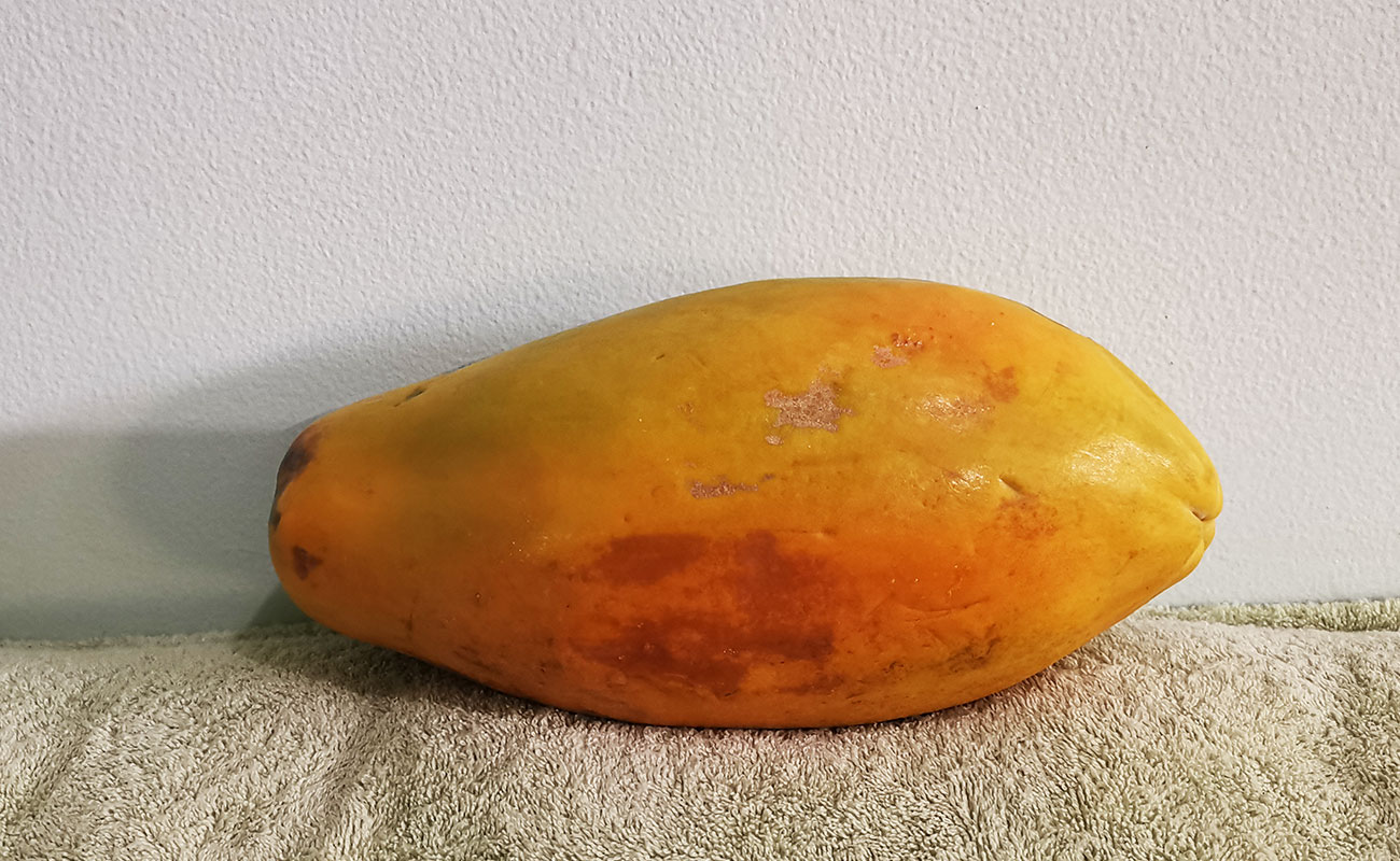 Papalla Fresca 2003g / La Gran Bodega de Frutas y Verduras, Flores, Heredia-16082023