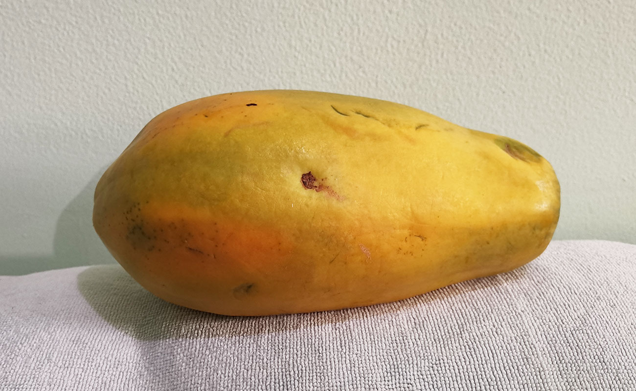 papalla-a-granel-1310g-verduras-la-gran-bodega-distrito-san-francisco-canton-heredia-heredia-12122023