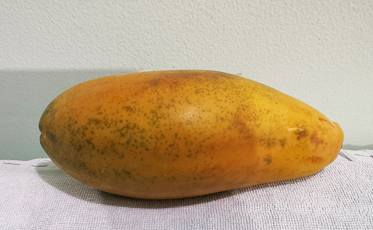 papaya-a-granel-trutas-y-verduras-san-juan-barrantes-san-lorenzo-canton-de-flores-heredia-09112023