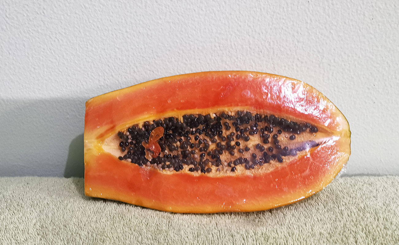 Papaya Fresca 655g /Max X Menos, Paseo de las Flores, Heredia-16082023