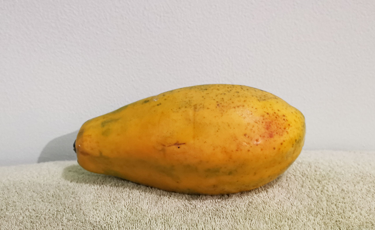 Papaga Fresca 500g / Tramo Mercado Municipal, Heredia-24082023