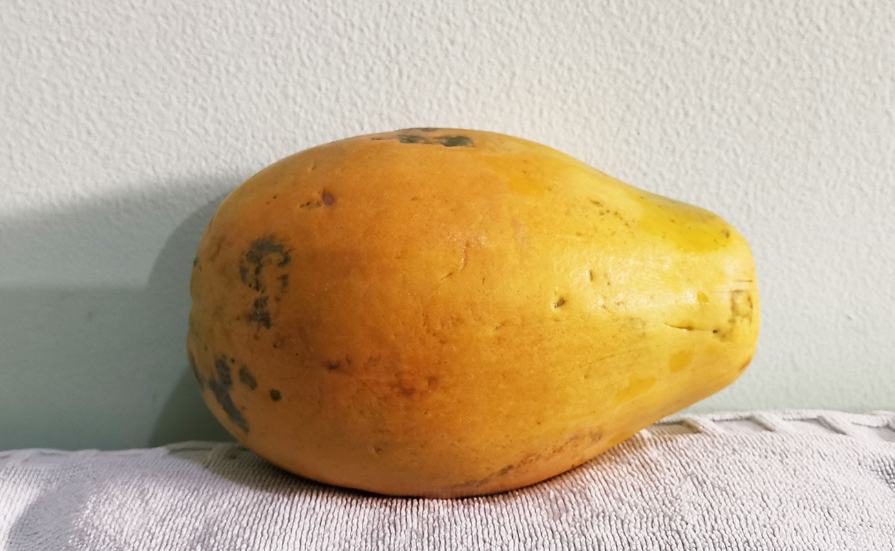 Papaya Fresca 1260g / La Gran Bodega de Frutas y Verduras, Flores, Heredia-29092023
