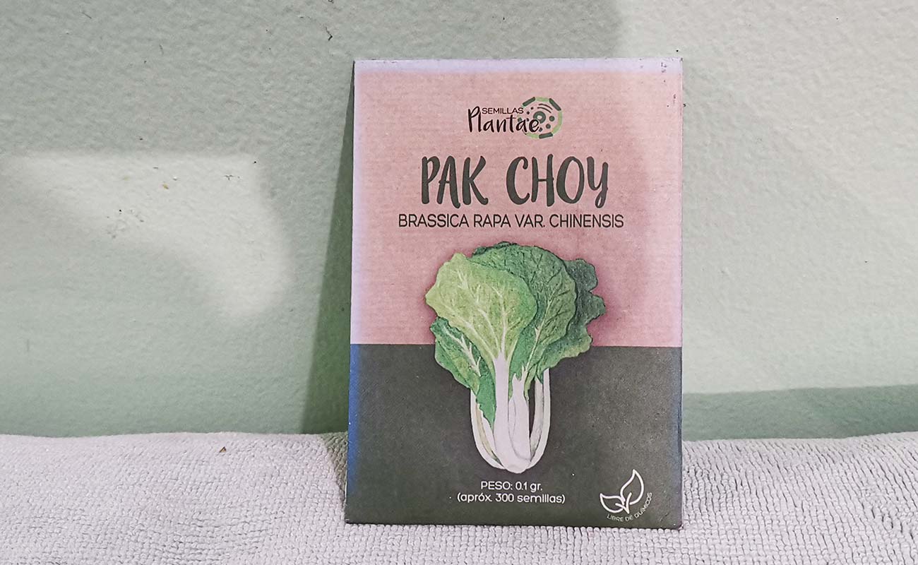 repollo-chino-pak-choy-pok-choy-300-semillas-0.1g-semillas-plantae-ferreteria-y-materiales-construccion-el-lagar-distrito-san-joaquin-canton-flores-heredia-13032024